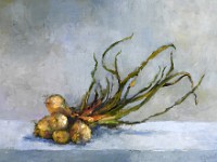 Oignons blancs